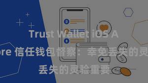 Trust Wallet iOS App Store 信任钱包督察：幸免丢失的灵验重要